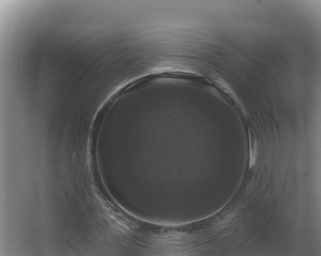 X0000064050387200602031629