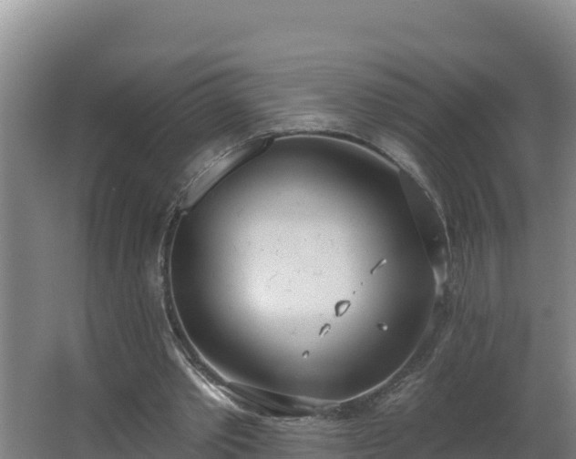 X0000064050389200602031629