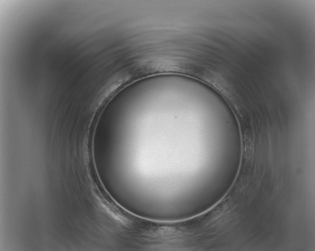 X0000064050390200602031629