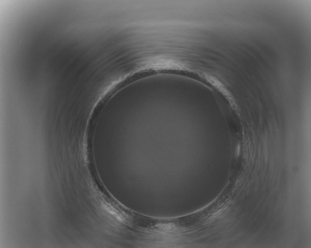 X0000064050391200602031629