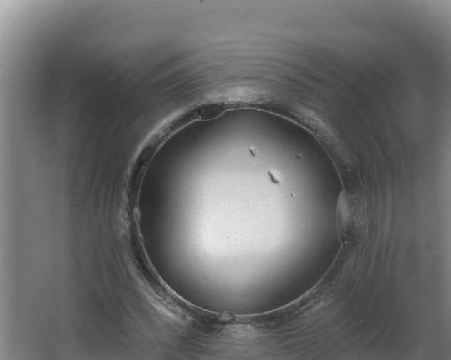 X0000064050392200602031629