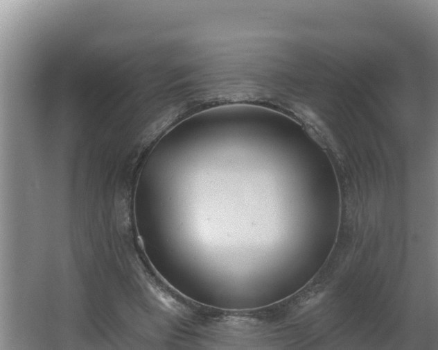 X0000064050393200602031629