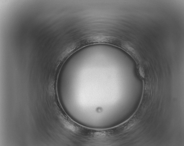 X0000064050394200602031629