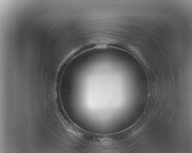 X0000064050395200602031629