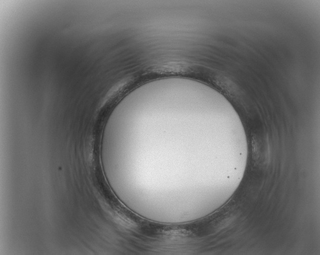 X0000064050396200602031629