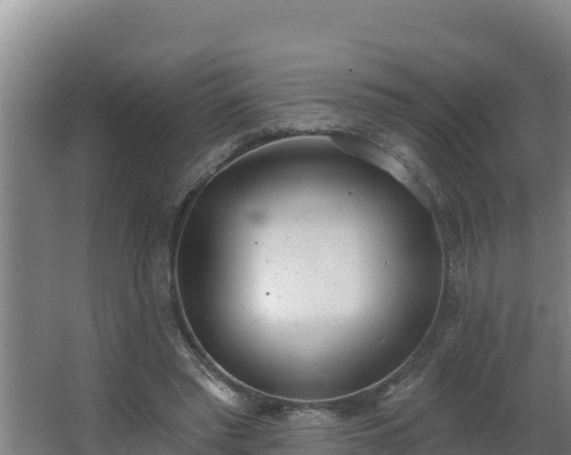 X0000064050397200602031629