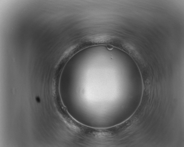 X0000064050400200602031629