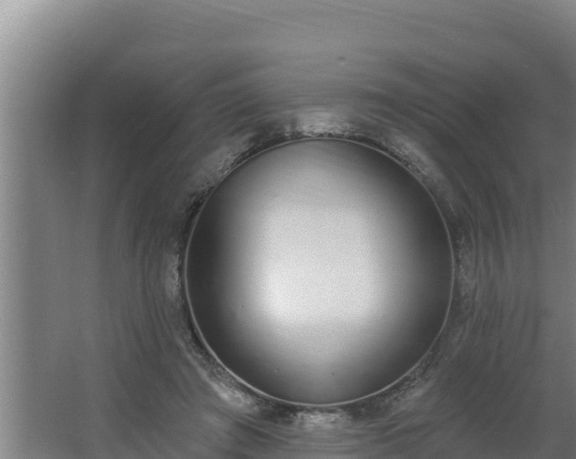 X0000064050401200602031629