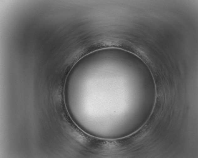 X0000064050402200602031629