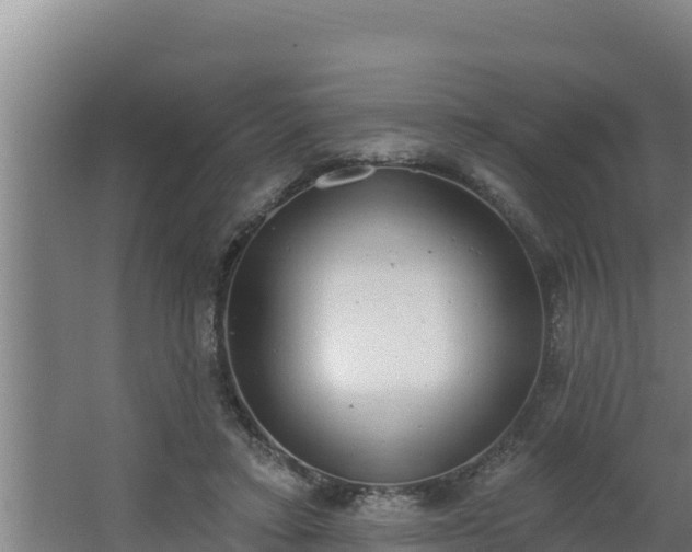 X0000064050403200602031629