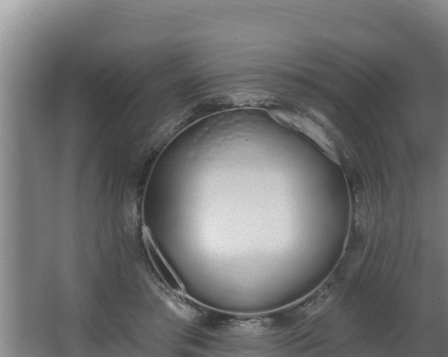 X0000064050405200602031629