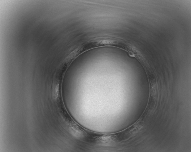 X0000064050406200602031628