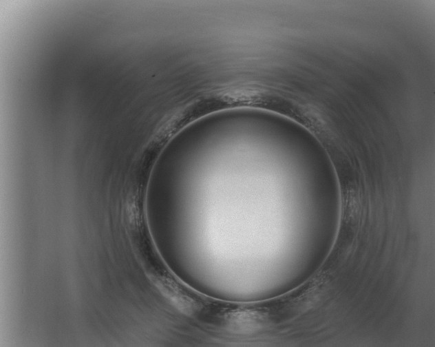 X0000064050408200602031628