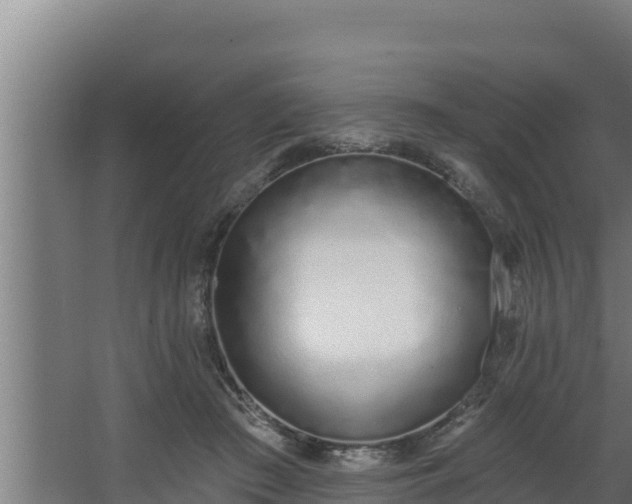 X0000064050409200602031628