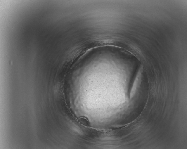 X0000064050410200602031628