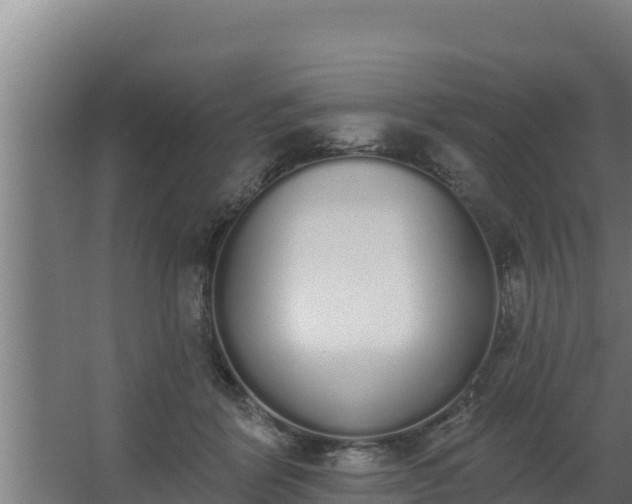 X0000064050412200602031628