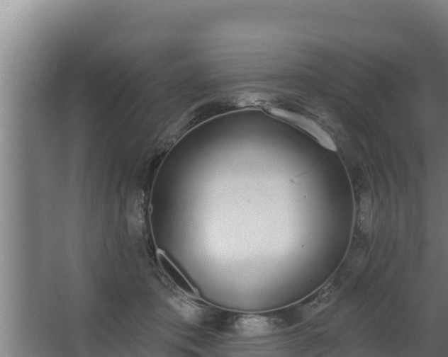 X0000064050413200602031628