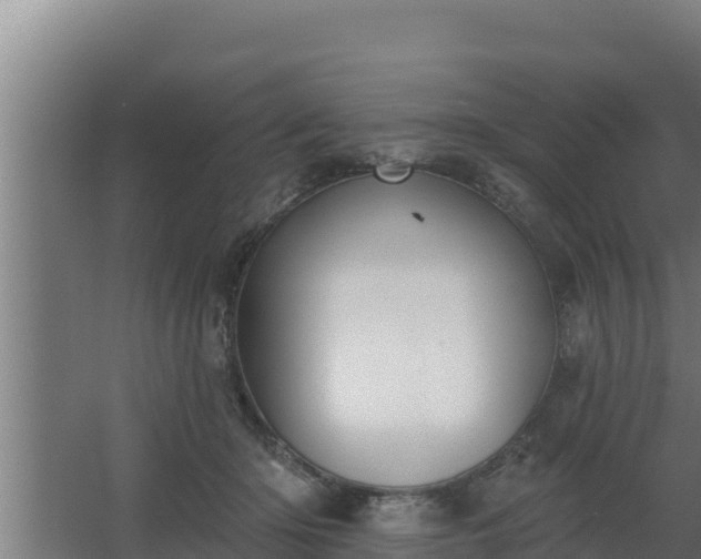 X0000064050414200602031628