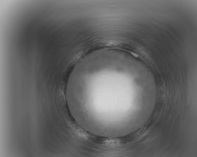 X0000064050415200602031628