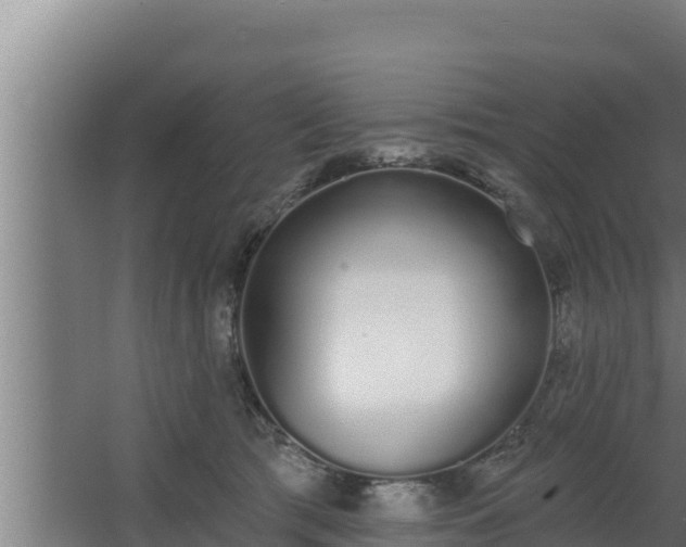 X0000064050417200602031628