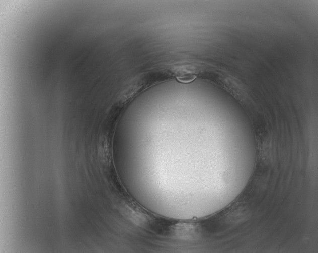 X0000064050418200602031628