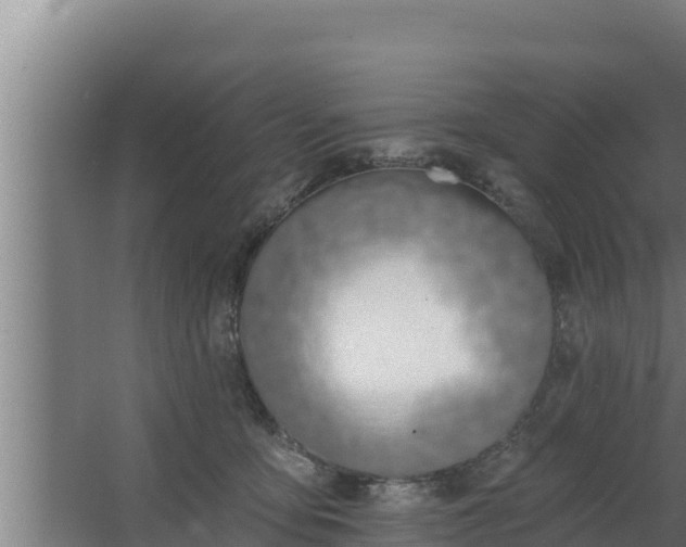 X0000064050419200602031628