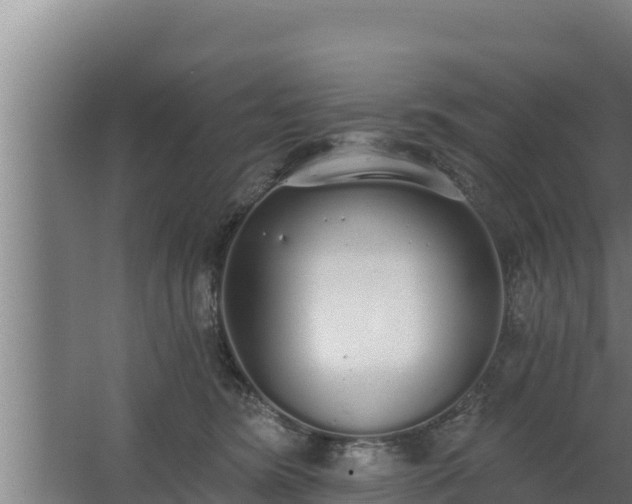 X0000064050420200602031628