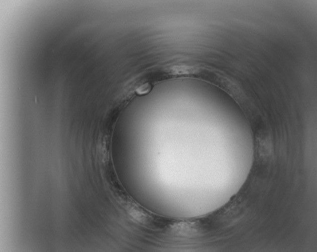 X0000064050422200602031628