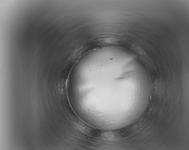 X0000064050423200602031628