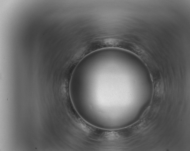 X0000064050424200602031628