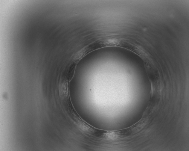 X0000064050425200602031628