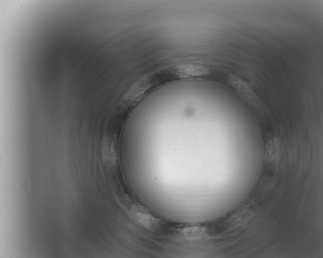 X0000064050426200602031628