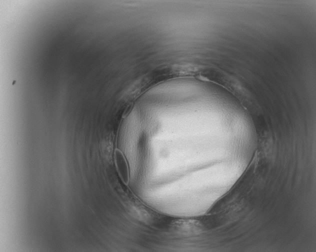 X0000064050427200602031628