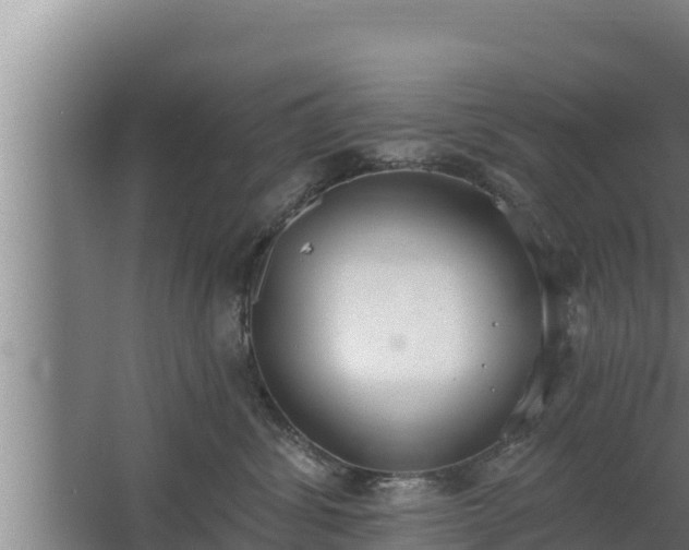 X0000064050428200602031628