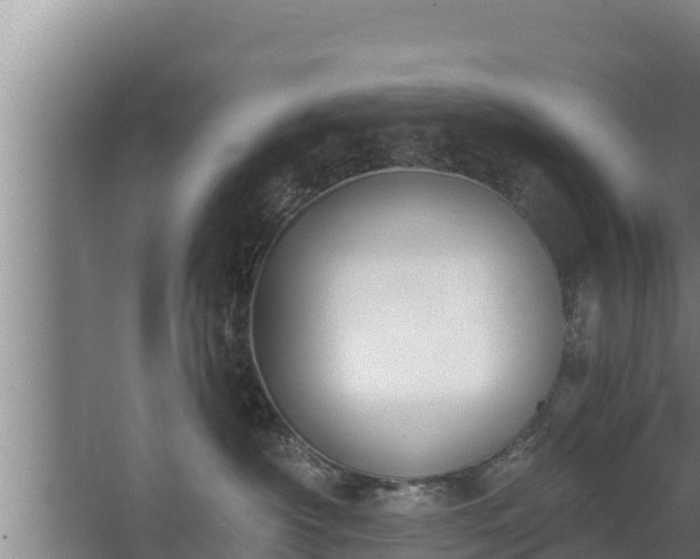 X0000064050430200602031628