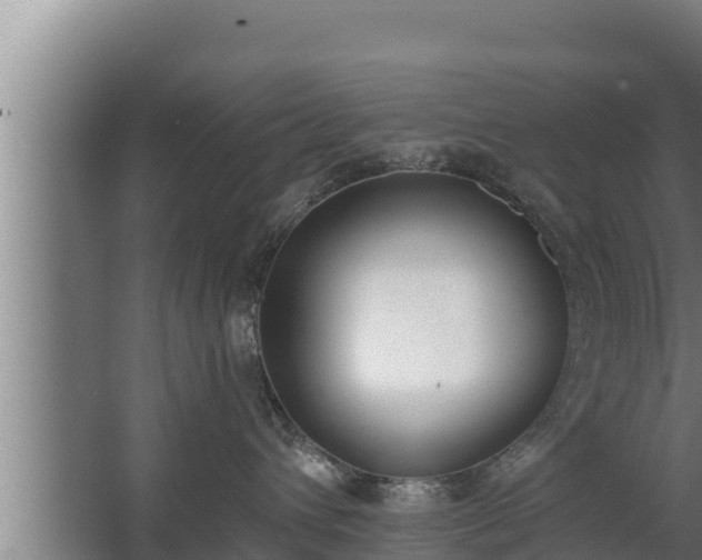 X0000064050432200602031628