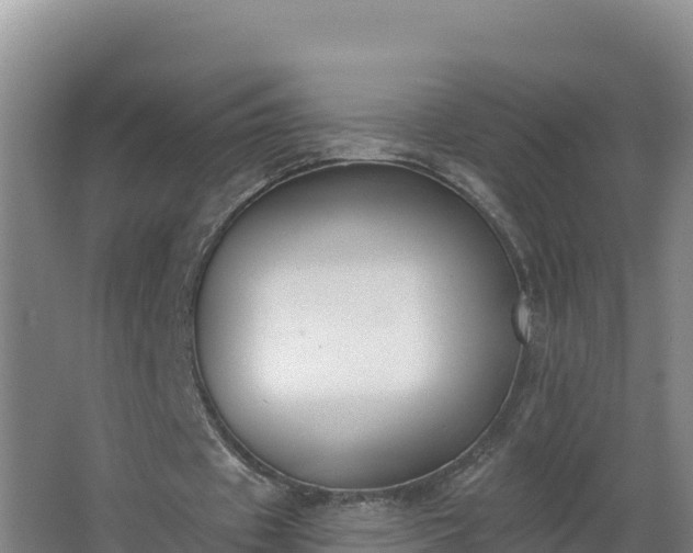 X0000064050433200602031627