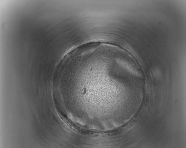 X0000064050434200602031627