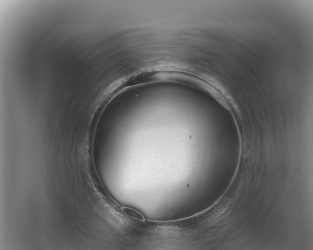 X0000064050437200602031627