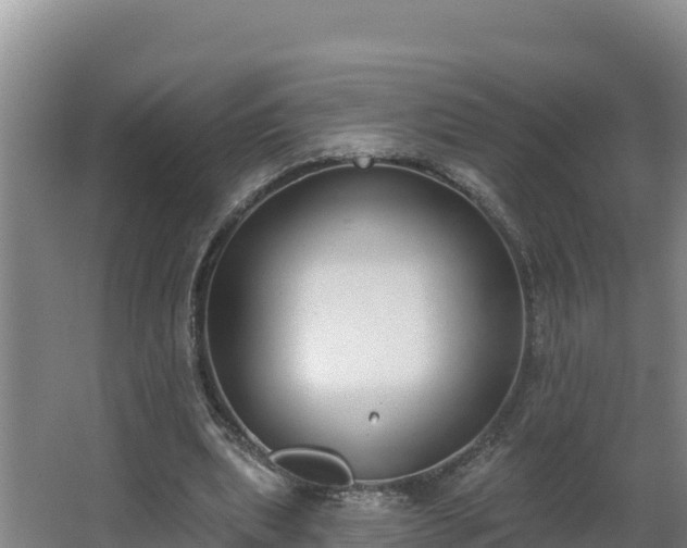 X0000064050439200602031627