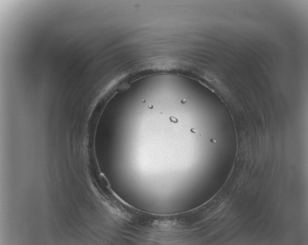 X0000064050440200602031627