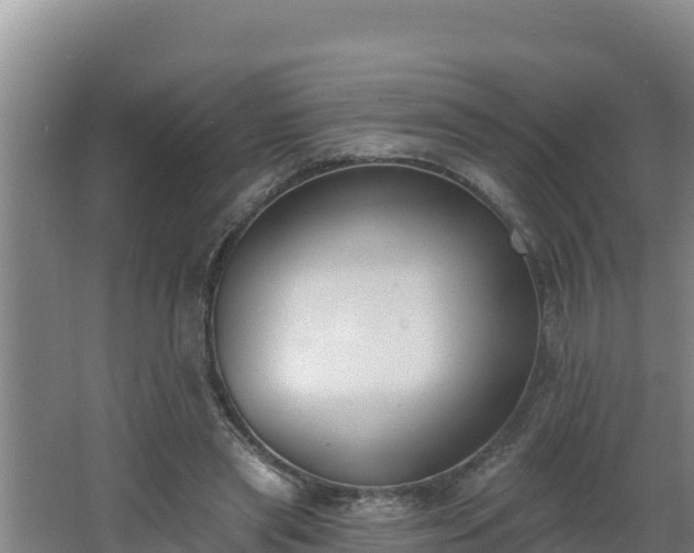 X0000064050445200602031627