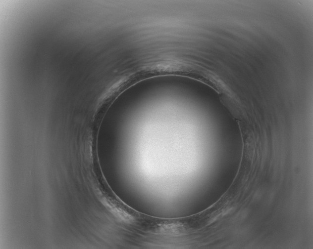 X0000064050446200602031627