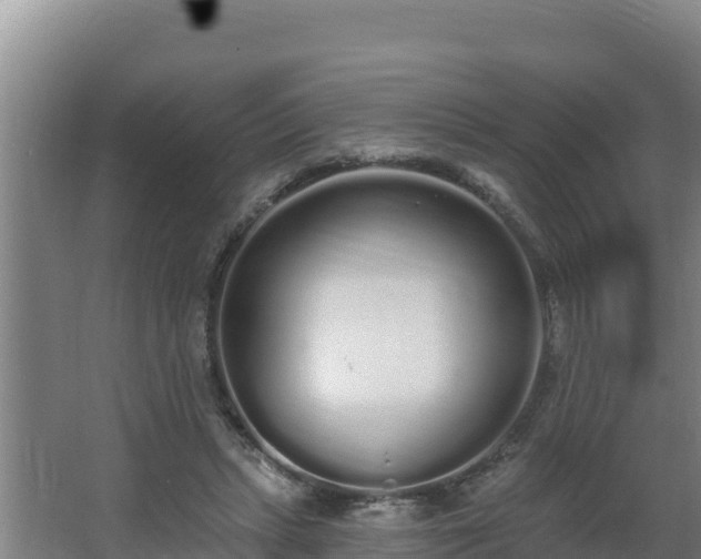 X0000064050447200602031627