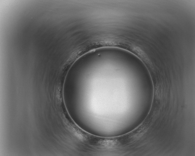 X0000064050449200602031628