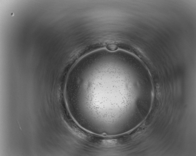 X0000064050451200602031628