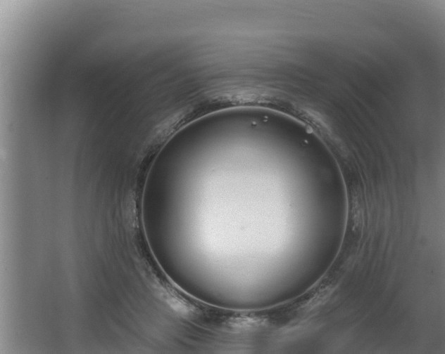 X0000064050453200602031628