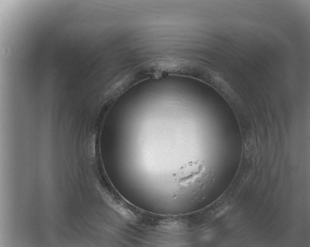 X0000064050454200602031628