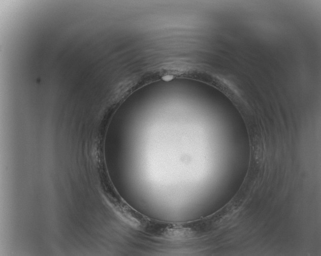 X0000064050455200602031628