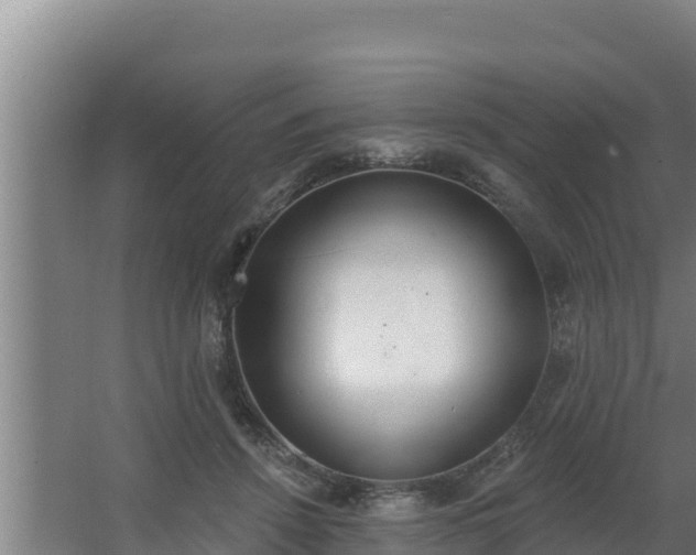 X0000064050456200602031628